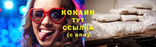 стаф Балахна