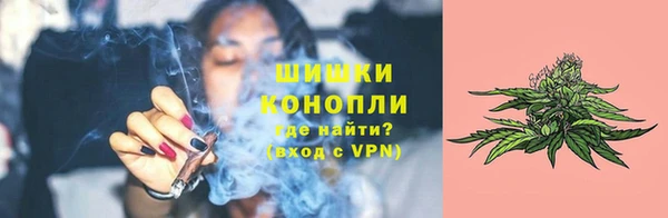 стаф Балахна
